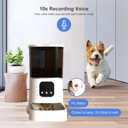 6L Cat Feeder Video Camera Smart Timing Pet Feeder for Cats Dog Wifi APP Intelligent Dry Autom Food Dispenser with Voice Recorde