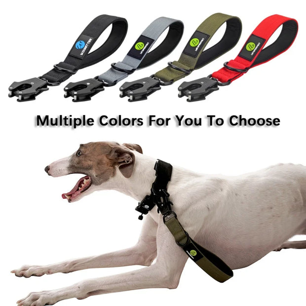 Pet collar, dog neck leash, nylon traffic lead, large dog, military leash, short walking rope, metal buckle, puppy accessories