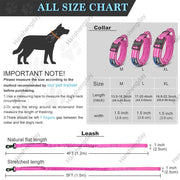 Strong Dog Collar Adjustable Thick Tactical Military Training Collars and Dog Leash with handle for Medium /big/ k9 /Large Dogs